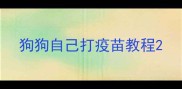 狗狗自己打疫苗教程