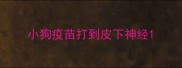 小狗疫苗打到皮下神经