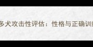 拉布拉多犬攻击性评估性格与正确训练指南