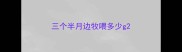 三个半月边牧喂多少g