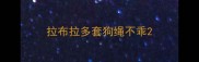 拉布拉多套狗绳不乖