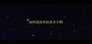 如何选拉布拉多犬小狗