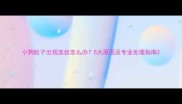 小狗肚子出现血丝怎么办5大原因及专业处理指南