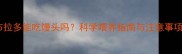 拉布拉多能吃馒头吗科学喂养指南与注意事项全