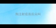 狗注射疫苗后尖叫