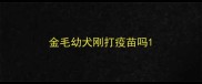 金毛幼犬刚打疫苗吗
