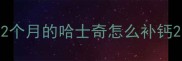 2个月的哈士奇怎么补钙