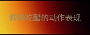 狗狗吃醋的动作表现