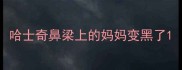 哈士奇鼻梁上的妈妈变黑了