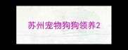苏州宠物狗狗领养