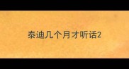 泰迪几个月才听话