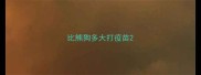 比熊狗多大打疫苗