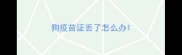 狗疫苗证丢了怎么办