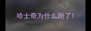 哈士奇为什么跑了
