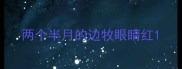 两个半月的边牧眼睛红