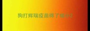 狗打辉瑞疫苗得了细小
