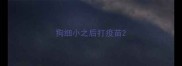 狗细小之后打疫苗