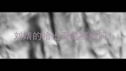 刘婧的哈士奇是赛级吗