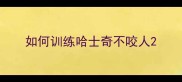 如何训练哈士奇不咬人