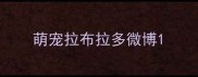 萌宠拉布拉多微博