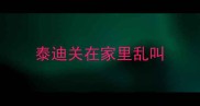 泰迪关在家里乱叫