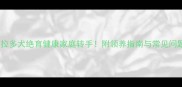 深圳拉布拉多犬绝育健康家庭转手附领养指南与常见问题全解答