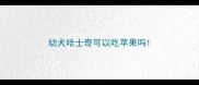 幼犬哈士奇可以吃苹果吗