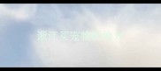 浙江买宠物的地方
