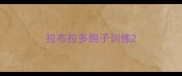 拉布拉多胆子训练