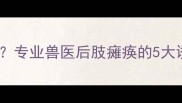 幼犬后腿无力怎么办专业兽医后肢瘫痪的5大诱因及家庭护理指南