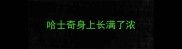 哈士奇身上长满了浓