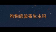 狗狗感染寄生虫吗
