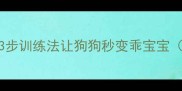 金毛犯错不给饭吃3步训练法让狗狗秒变乖宝宝附家长必看纠正指南