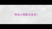 男哈士奇配女金毛