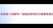 拉布拉多都是小短腿吗短腿品种特征与健康隐患的全面