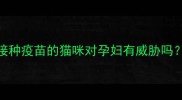 孕期养猫必看未接种疫苗的猫咪对孕妇有威胁吗附科学防护指南