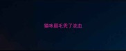 猫咪眉毛秃了流血