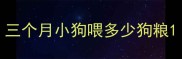 三个月小狗喂多少狗粮