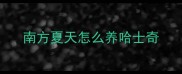 南方夏天怎么养哈士奇