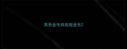 英系金毛和美版金毛