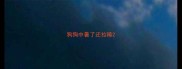 狗狗中暑了还拉稀