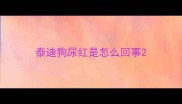 泰迪狗尿红是怎么回事
