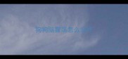 狗狗脑震荡怎么治疗