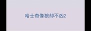 哈士奇像狼却不凶