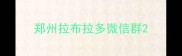 郑州拉布拉多微信群