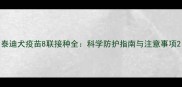 泰迪犬疫苗8联接种全科学防护指南与注意事项