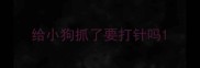 给小狗抓了要打针吗