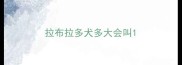 拉布拉多犬多大会叫