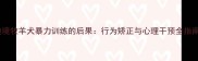 边境牧羊犬暴力训练的后果行为矫正与心理干预全指南
