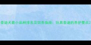 泰迪犬最小品种排名及饲养指南玩具泰迪的养护要点